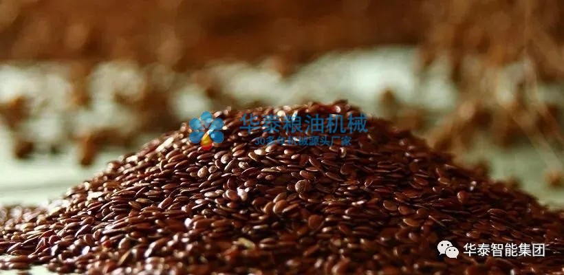 1611621269172356.jpg 640.webp.jpg