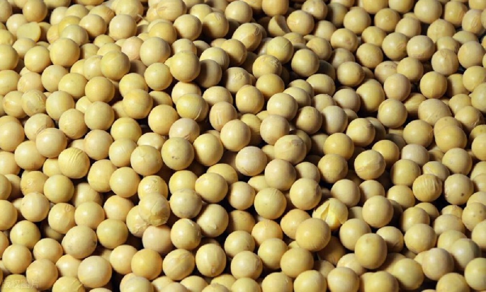 大豆油加工設備